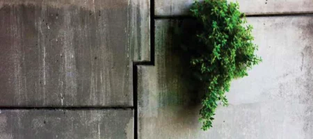 Bildschirmfoto 2025 10 24 um 12 32 44